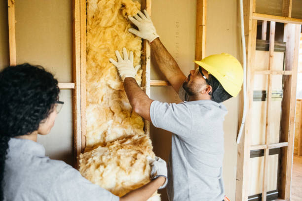 Best Reflective Insulation  in Brandywine, MD