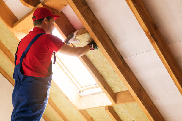 Best Attic Insulation Installation  in Brandywine, MD